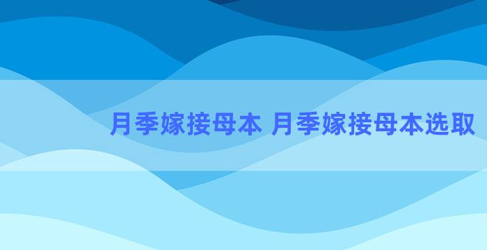 月季嫁接母本 月季嫁接母本选取